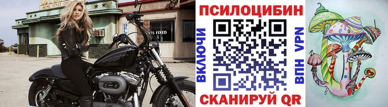 Псилоцибиновые грибы GOLDEN TEACHER  Горбатов 